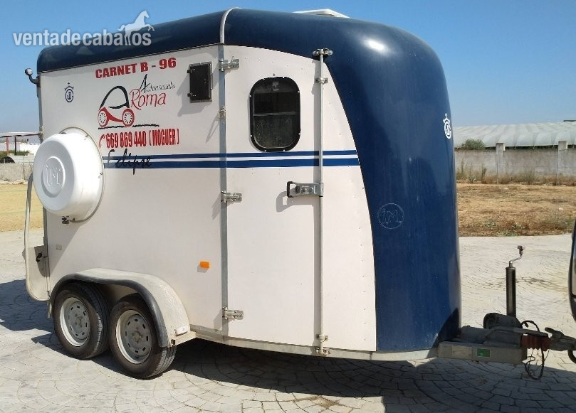 Van JM ECLIPSE 2 caballos in 