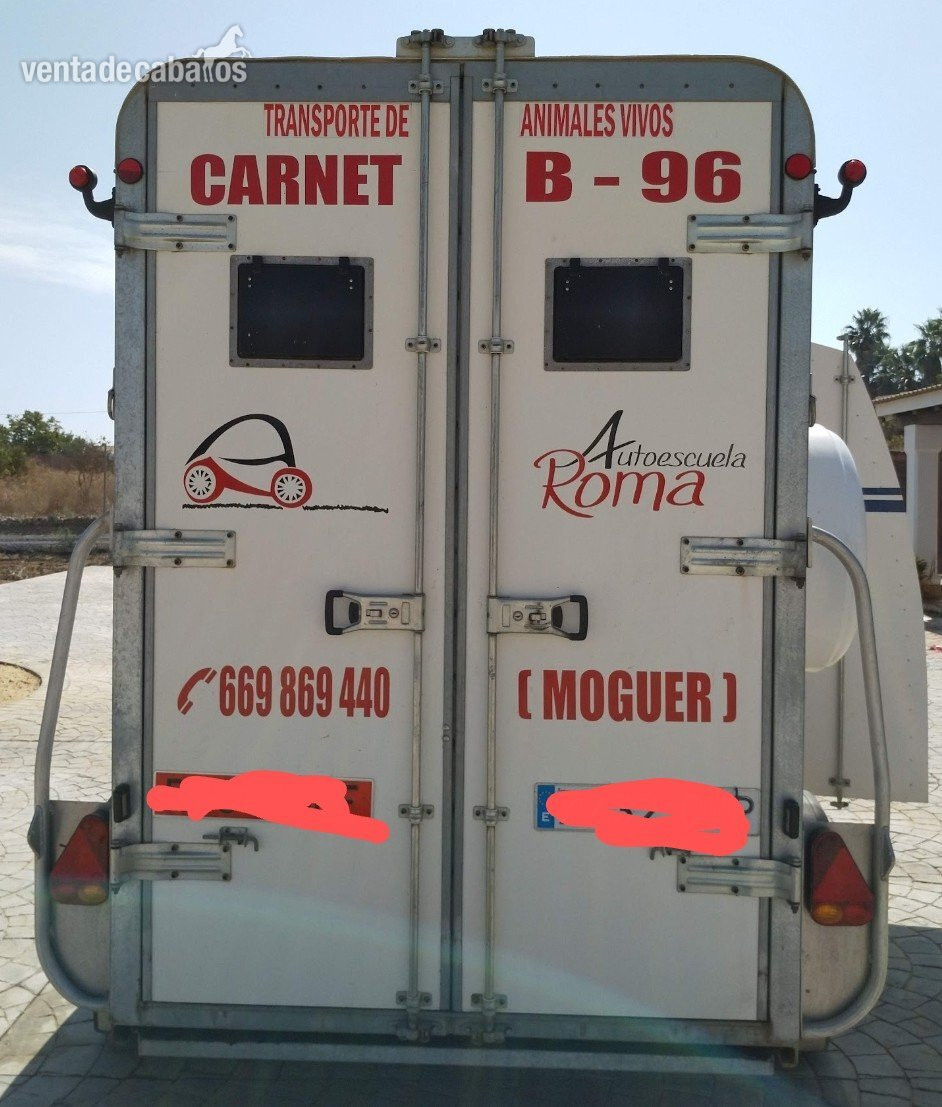 Van JM ECLIPSE 2 caballos