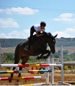 VENDO YEGUA DE SALTO