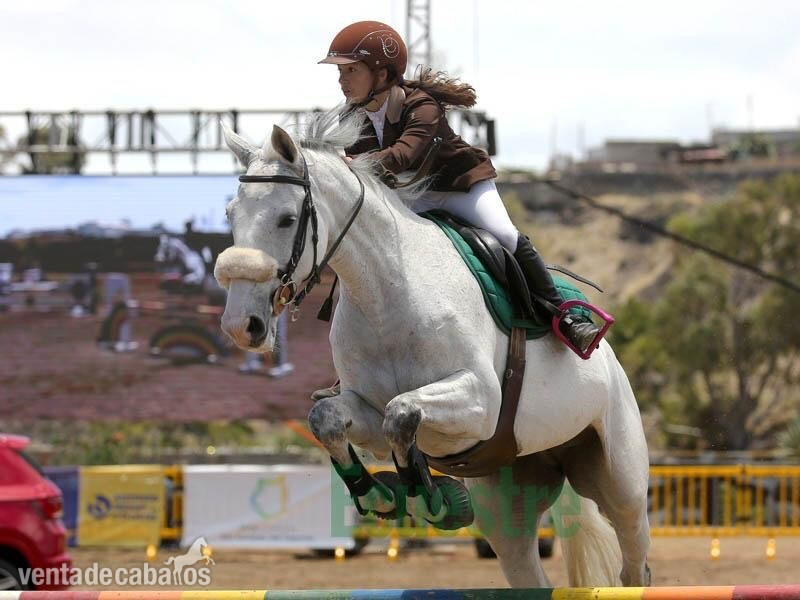 Yegua de Salto  in 