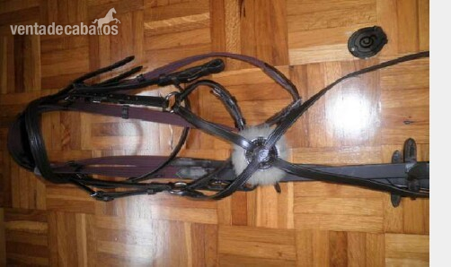 Cabezada Otto Schumacher talla full in 