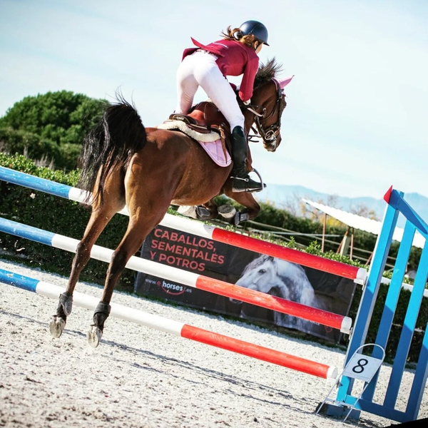 Pony D, yegua prá, de 2017. Súper cabeza y proyección  - Yeguas P.r.á