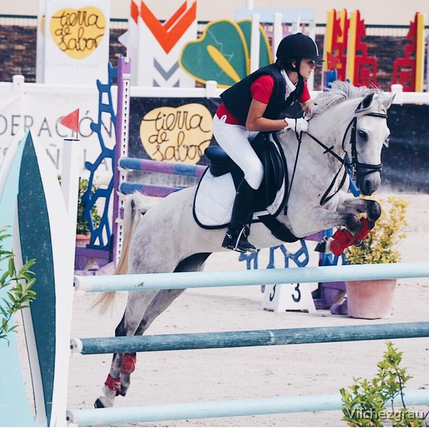 BUSCO CABALLO PARA COMPARTIR in 