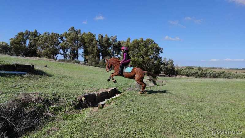 En venta pony C in 