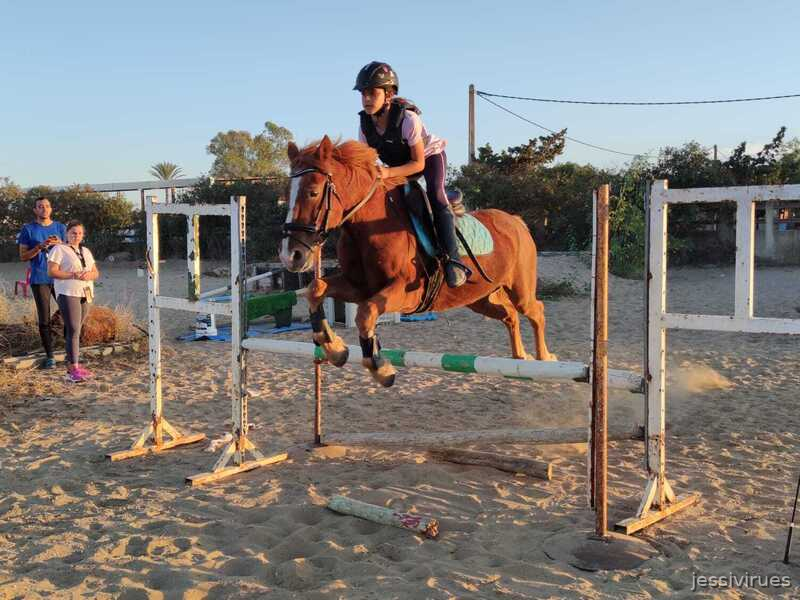Ponis Pony Club Cruzado  - En venta pony C