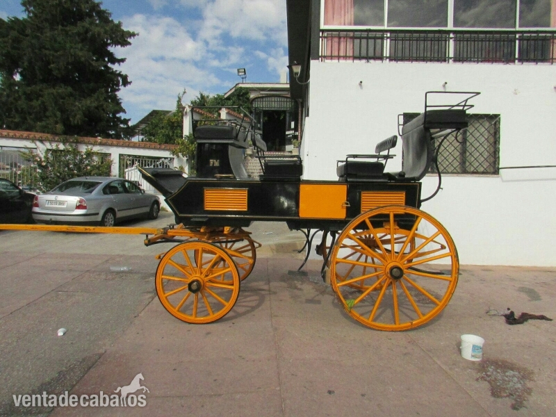 carruaje antiguo grand brie amarillo in 