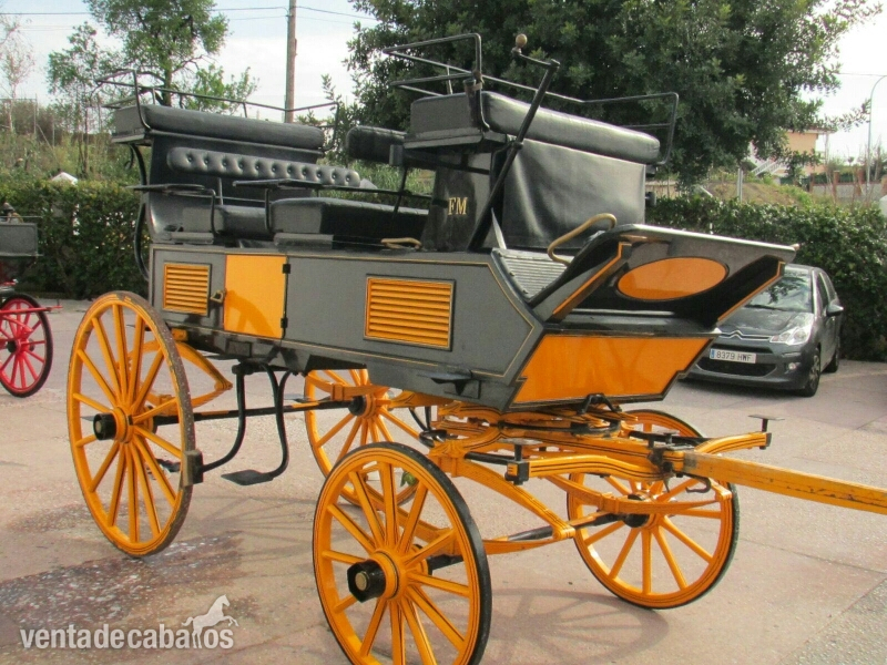carruaje antiguo grand brie amarillo