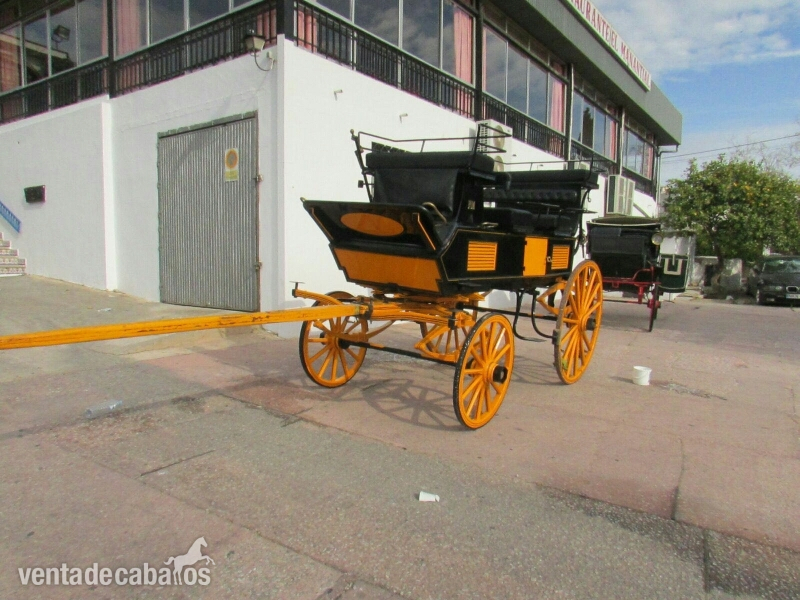  carruaje antiguo grand brie amarillo