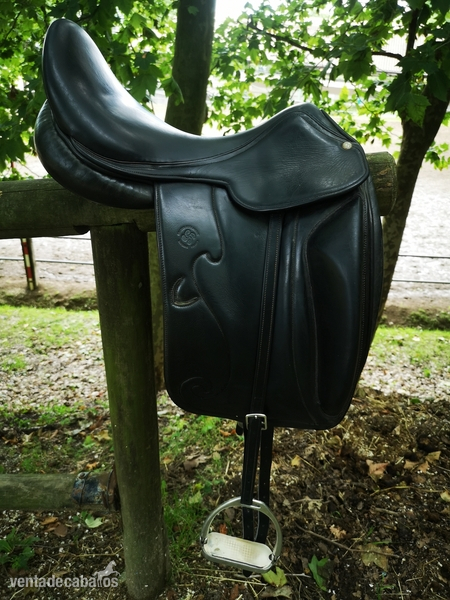 Silla de montar  - Sillas de montar