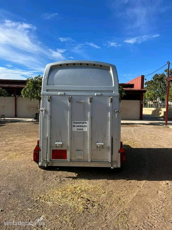 Caravana Westfalia Jupiter