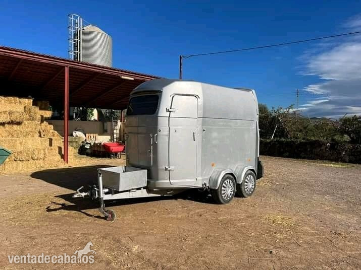 Remolques de caballos - Caravana Westfalia Jupiter