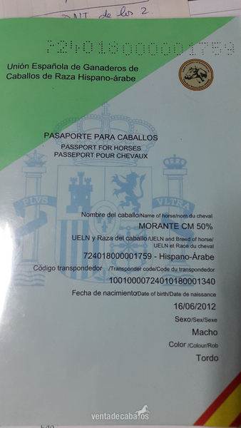  Potro Ha 50%