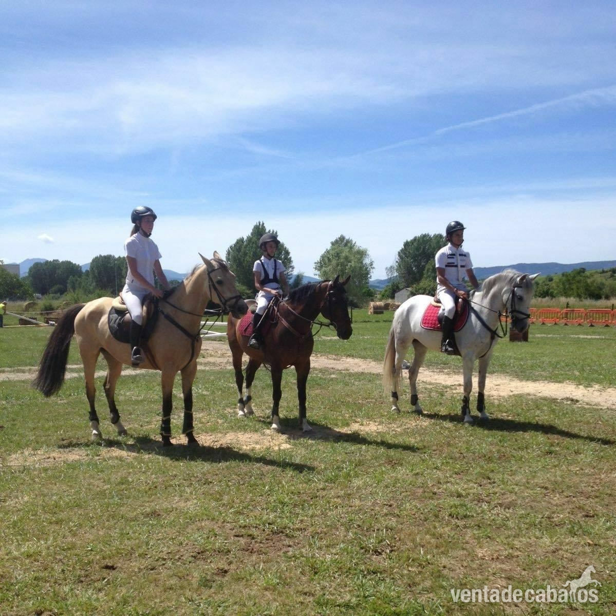 Caballos Capados EMPTY - Caballo en venta