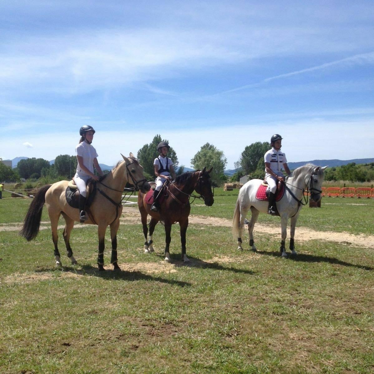 Caballos Capados EMPTY - Caballo en venta