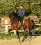 en venta caballo escalera in 