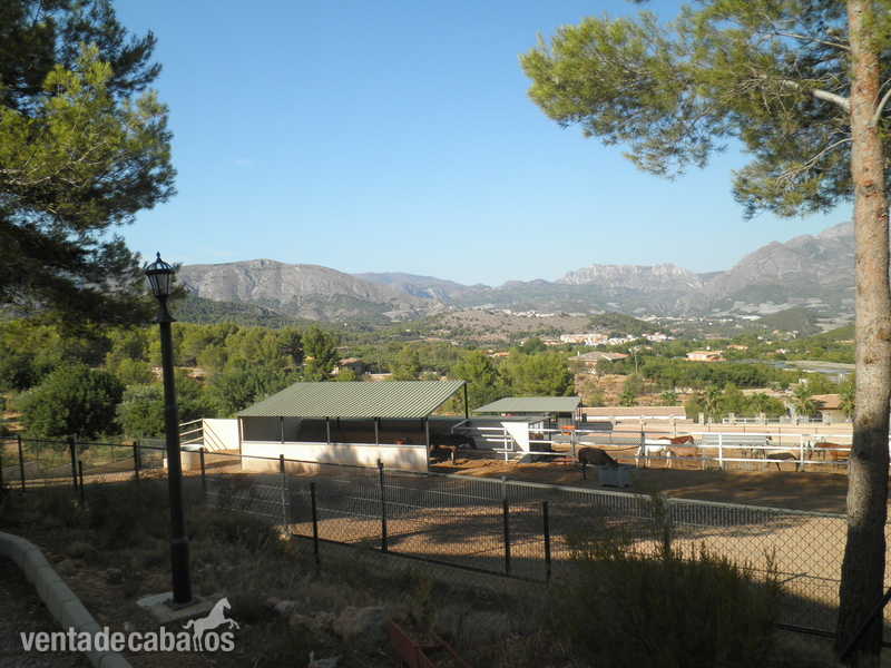 Polop de la marina Casa de campo con dos casas pareadas. Finca de 11.700 m2. 4 baños. Vistas a la montaña. Parking y garaje. En Polop.