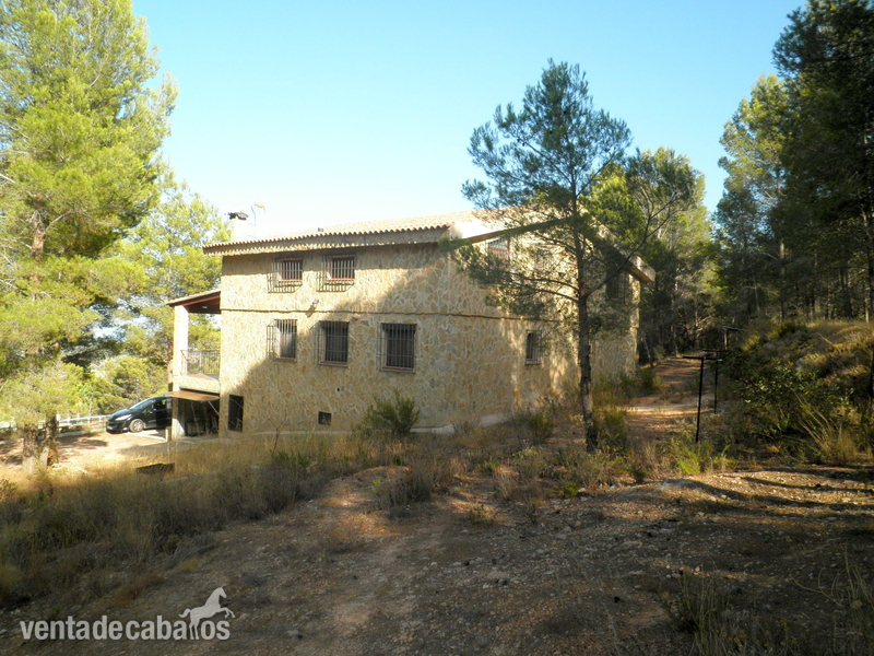 Casa de campo con dos casas pareadas. Finca de 11.700 m2. 4 baños. Vistas a la montaña. Parking y garaje. En Polop. - Finca ecuestre in Polop de la marina