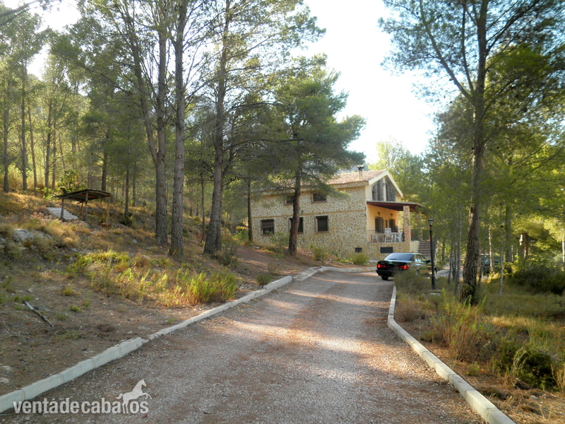Casa de campo con dos casas pareadas. Finca de 11.700 m2. 4 baños. Vistas a la montaña. Parking y garaje. En Polop. - Finca ecuestre