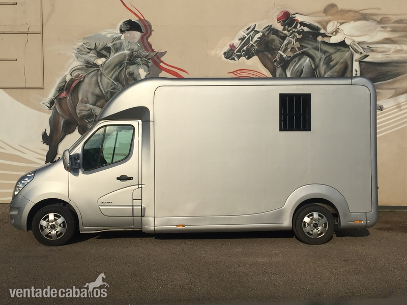 transporte de caballos Renault master  in 