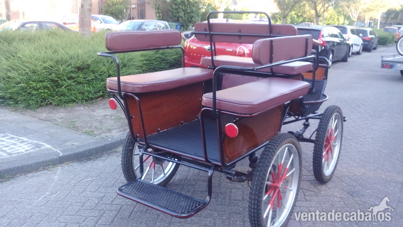 VENDE JARDINERA, CARRO, CARRUAJE, MARATHON para Welsh y caballos mediano  - Carruajes y Enganches in 