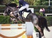 Yegua Poni  salto y completo 