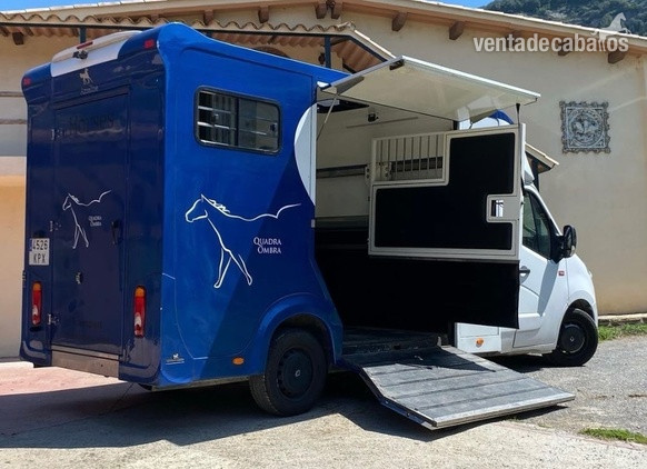 Furgoneta Ameline select - Transportes de caballos in 