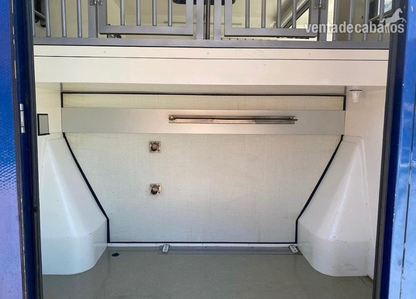 Transportes de caballos - Furgoneta Ameline select