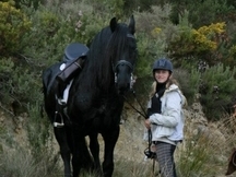 Vendo mi frison 