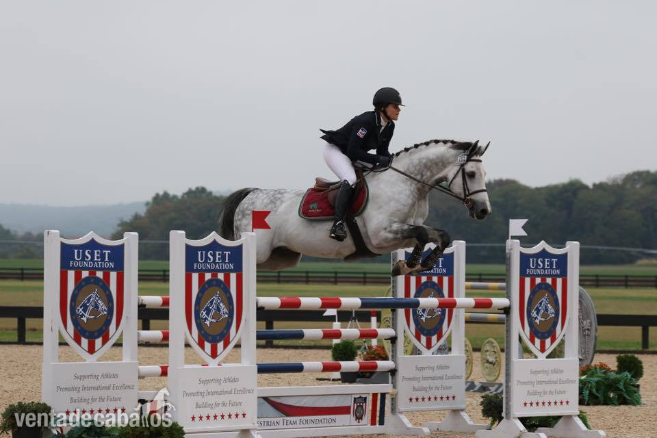 Caballos Capados EMPTY - Caballo de alto rendimiento con potencial y plus