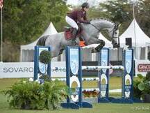 Caballo de alto rendimiento con potencial y plus
