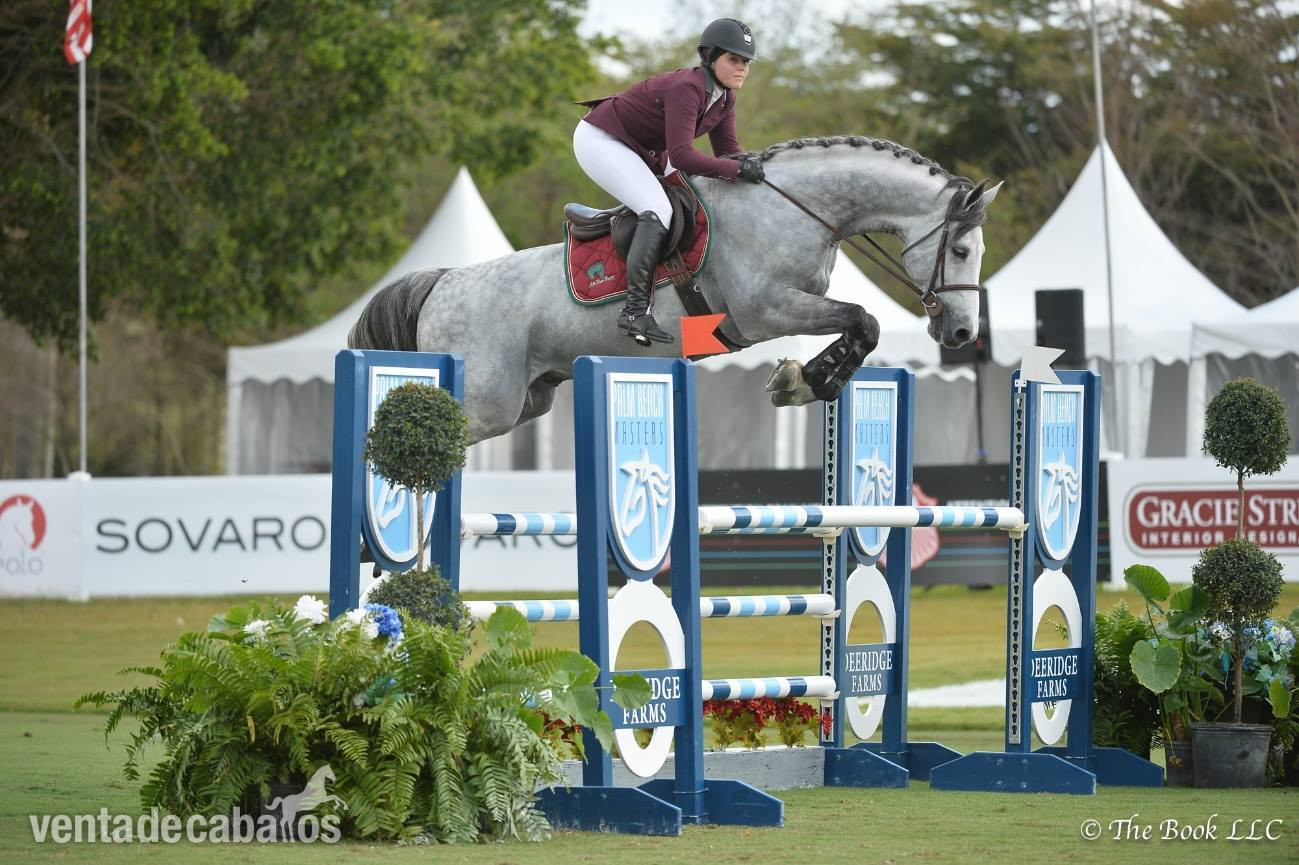 Caballo de alto rendimiento con potencial y plus - Caballos Capados