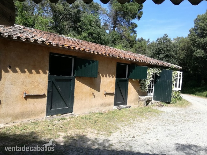Finca ecuestre - Magnifica finca con casa señorial 35 km de Barcelona in Cardedeu - Les Franqueses