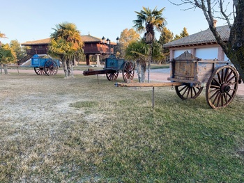 Carros de bueyes