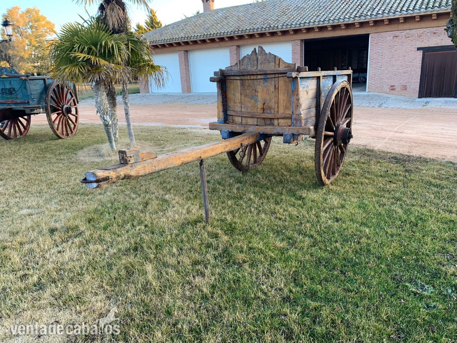 Carros de bueyes