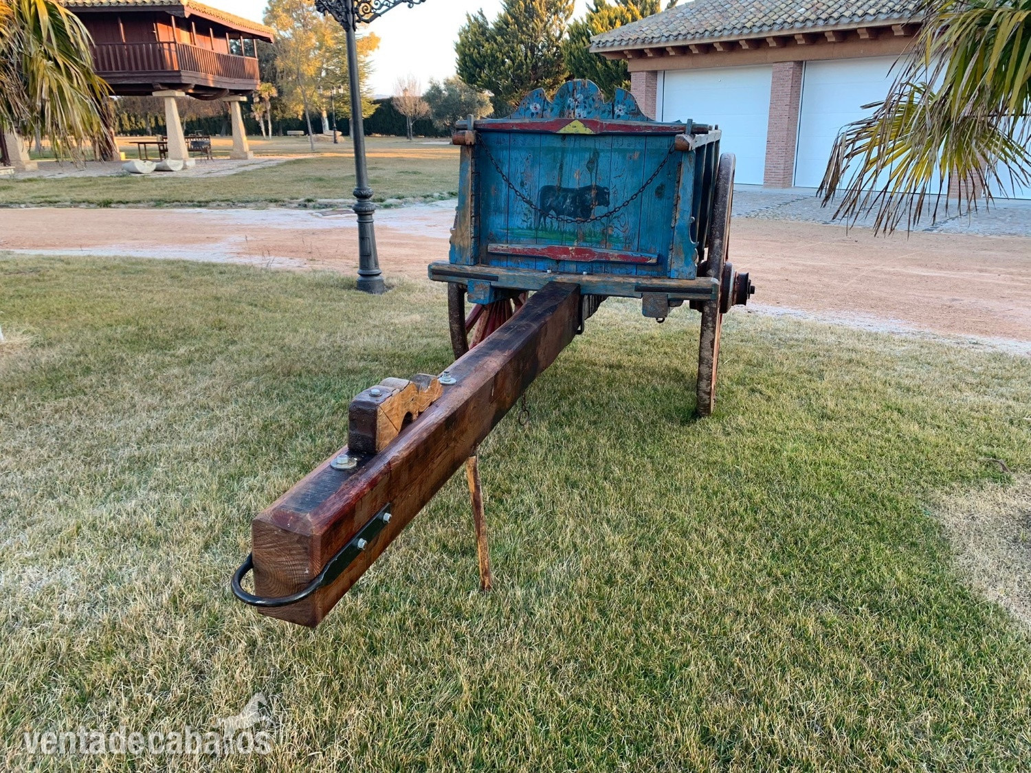  Carros de bueyes