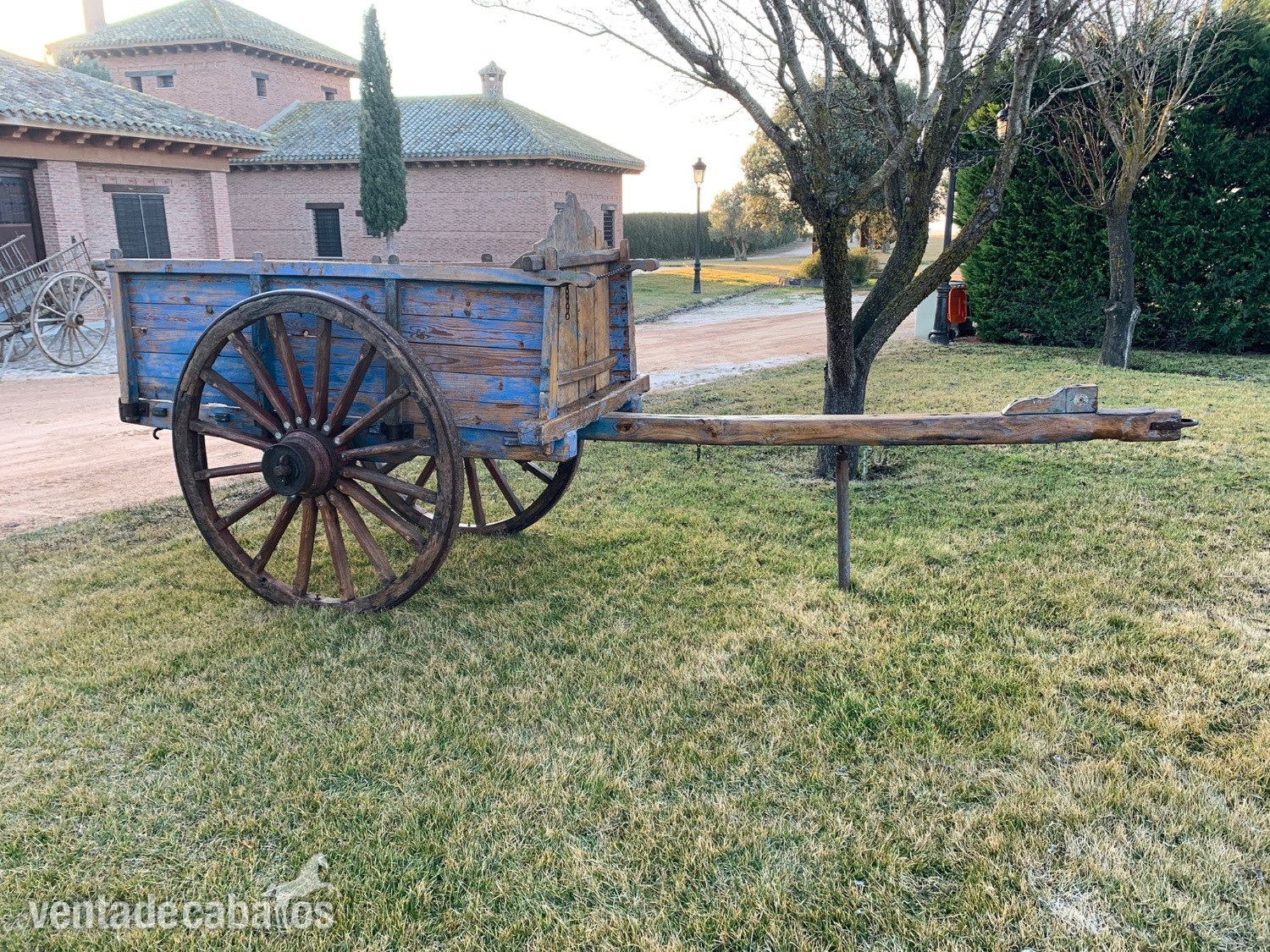 Carros de bueyes - Carruajes y Enganches in 