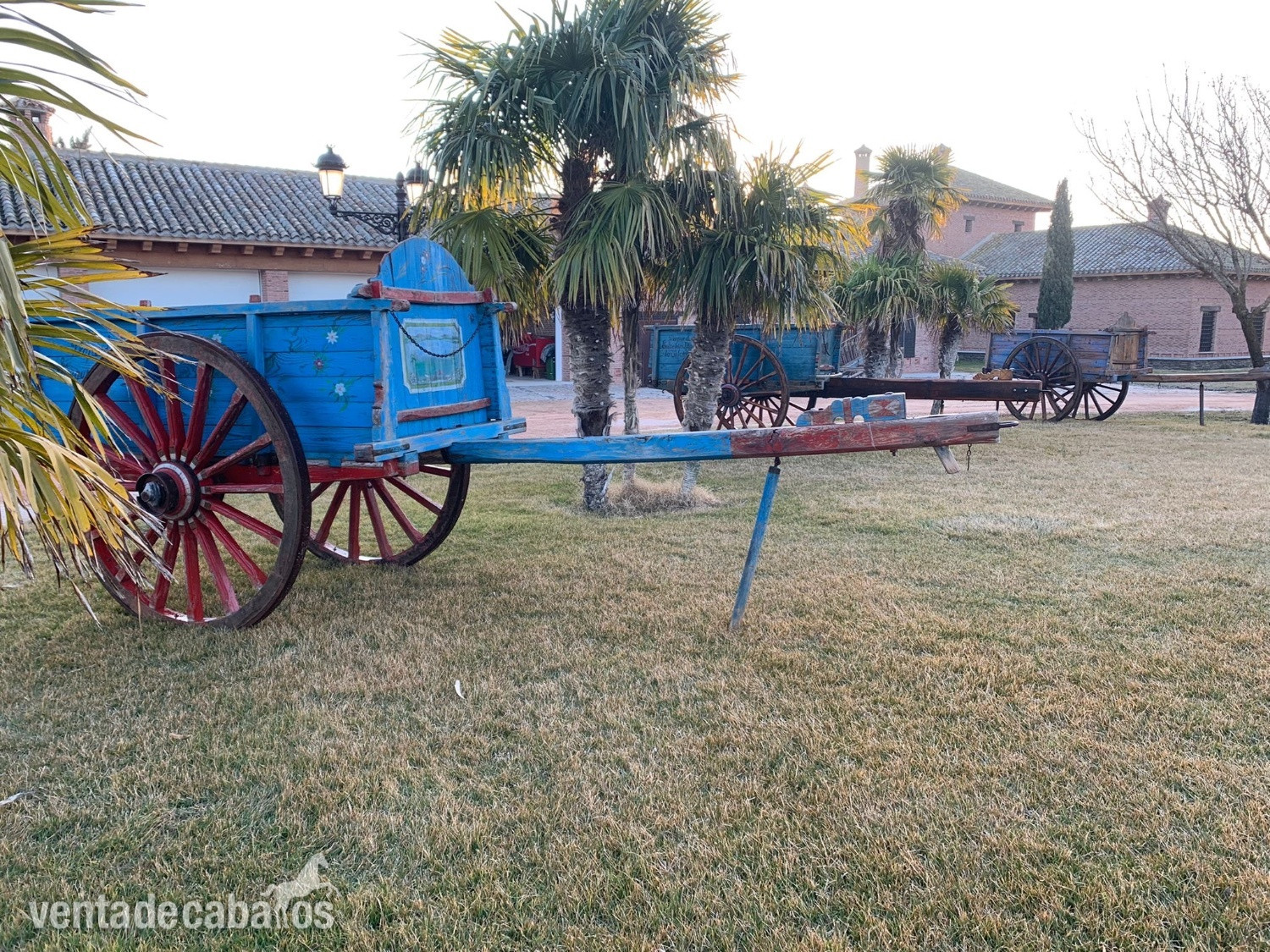 Carros de bueyes - Carruajes y Enganches