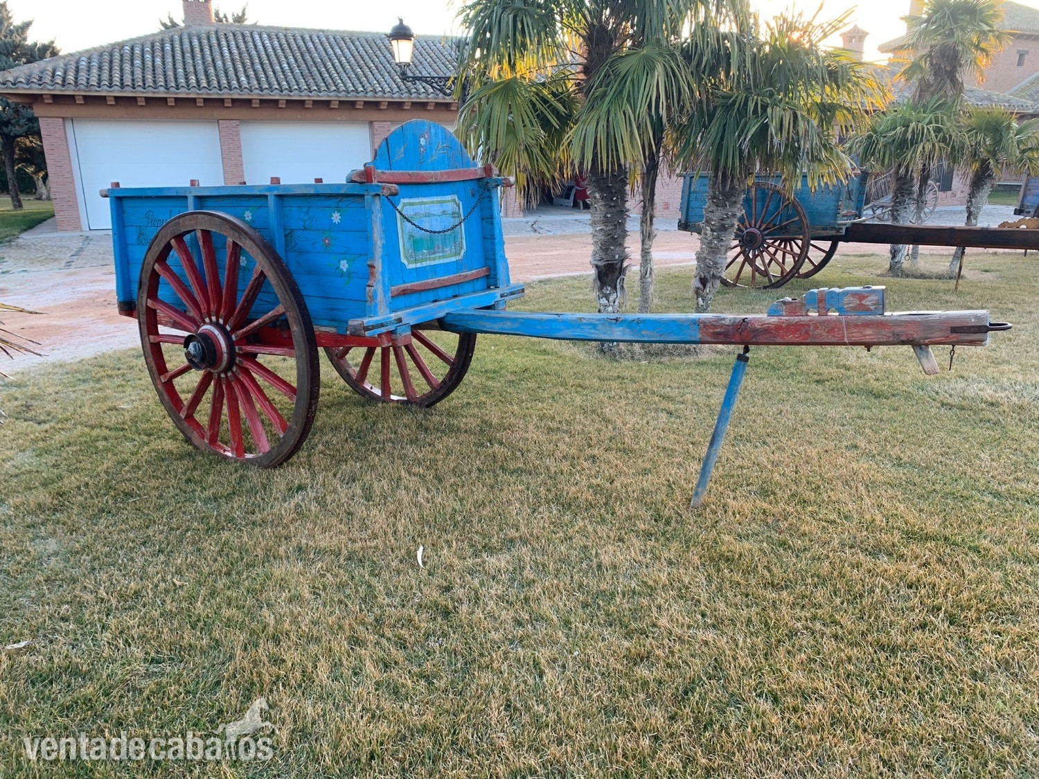 Carros de bueyes 