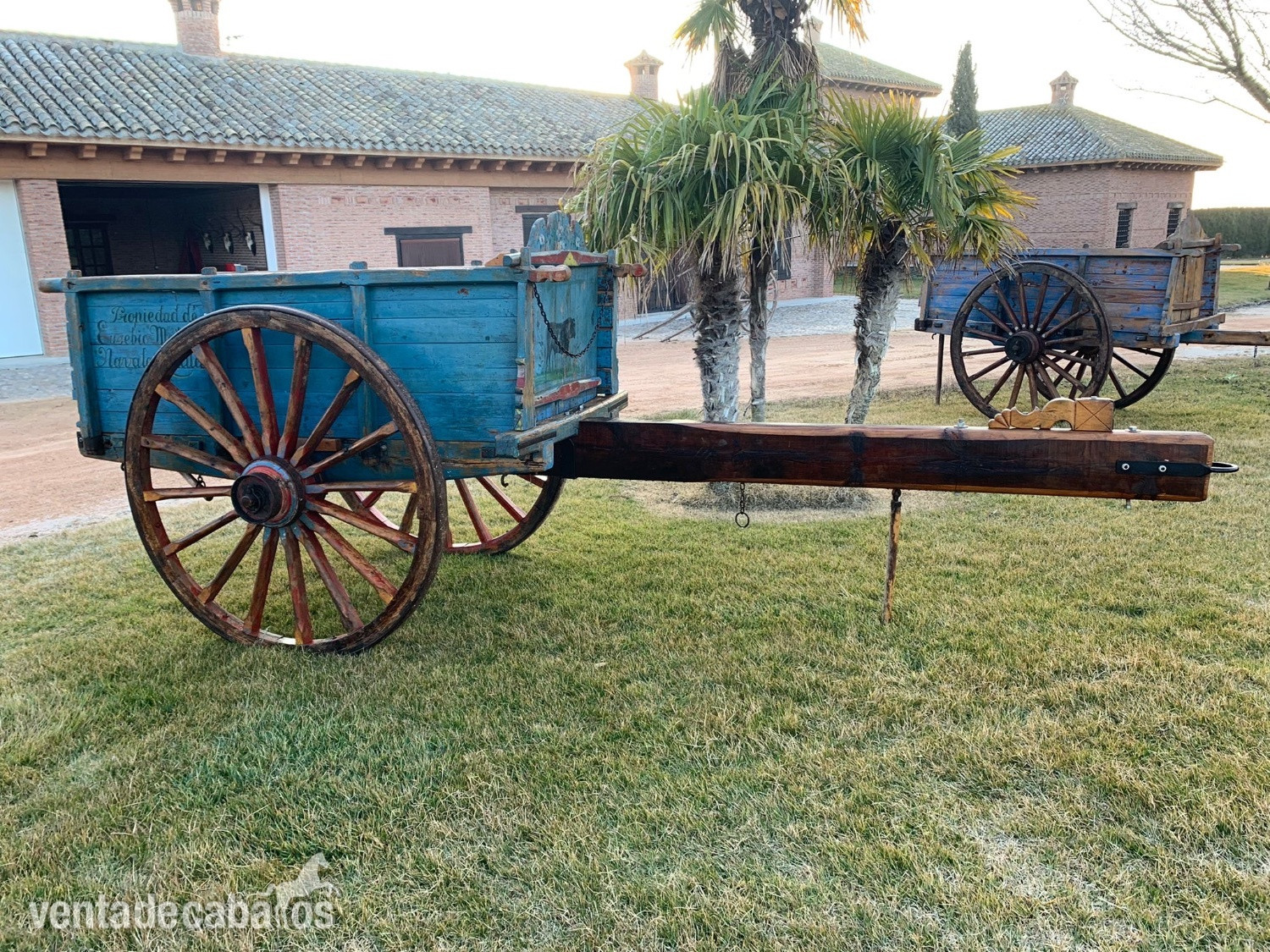 Carruajes y Enganches - Carros de bueyes in 