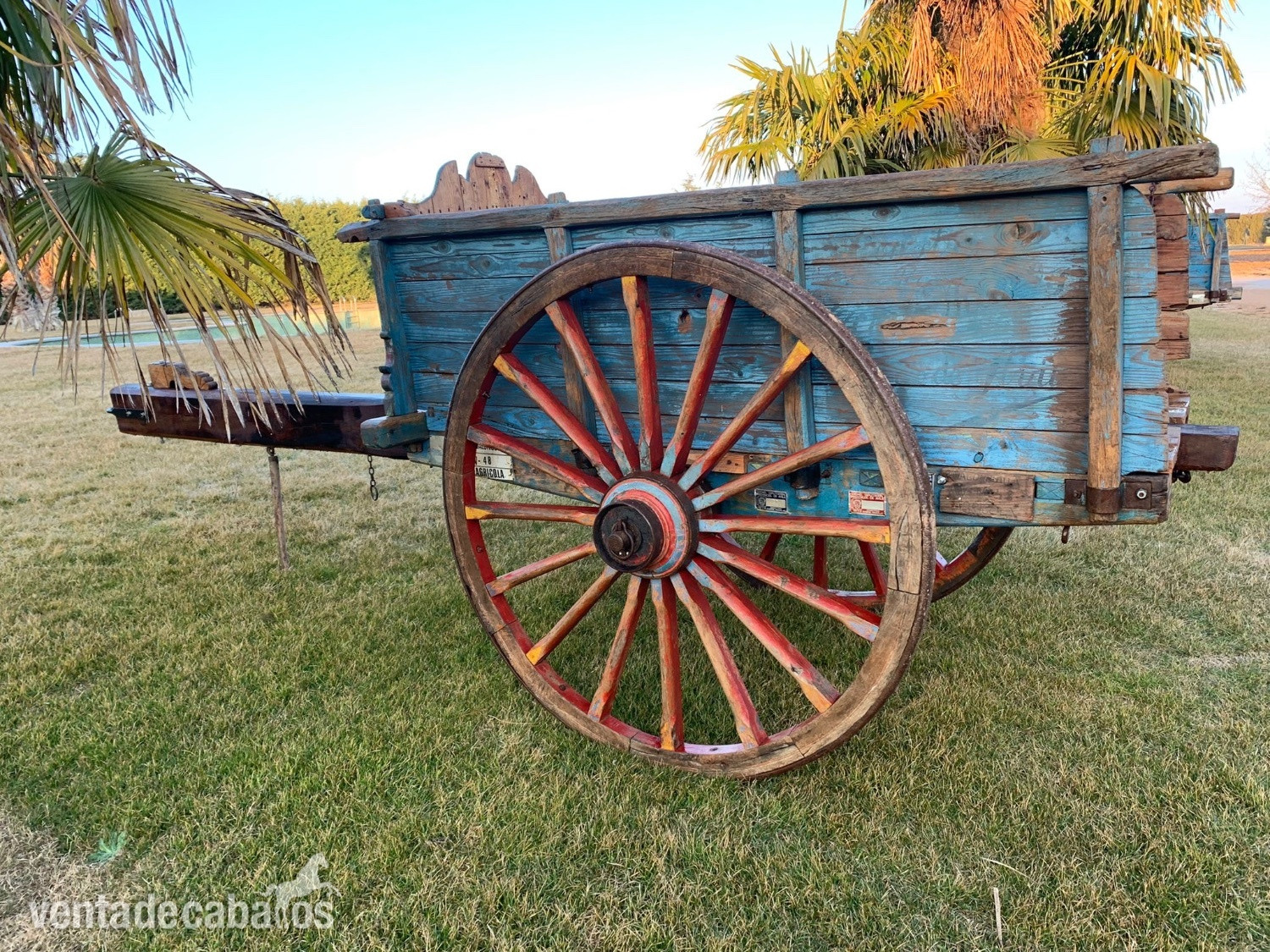 Carruajes y Enganches - Carros de bueyes