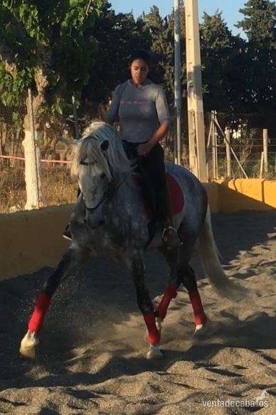 Pura Raza Española