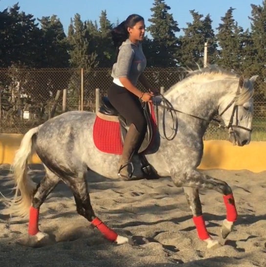 Pura Raza Española {TYPE}