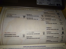 Potra de P.R.E.