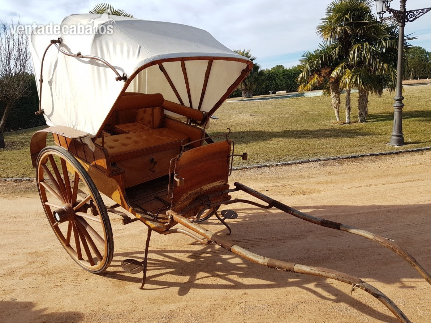Coche de caballo in 