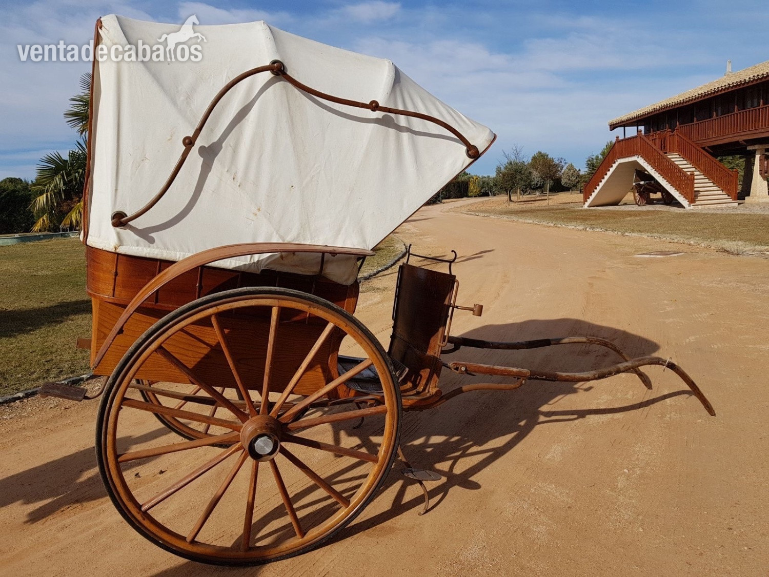 Coche de caballo