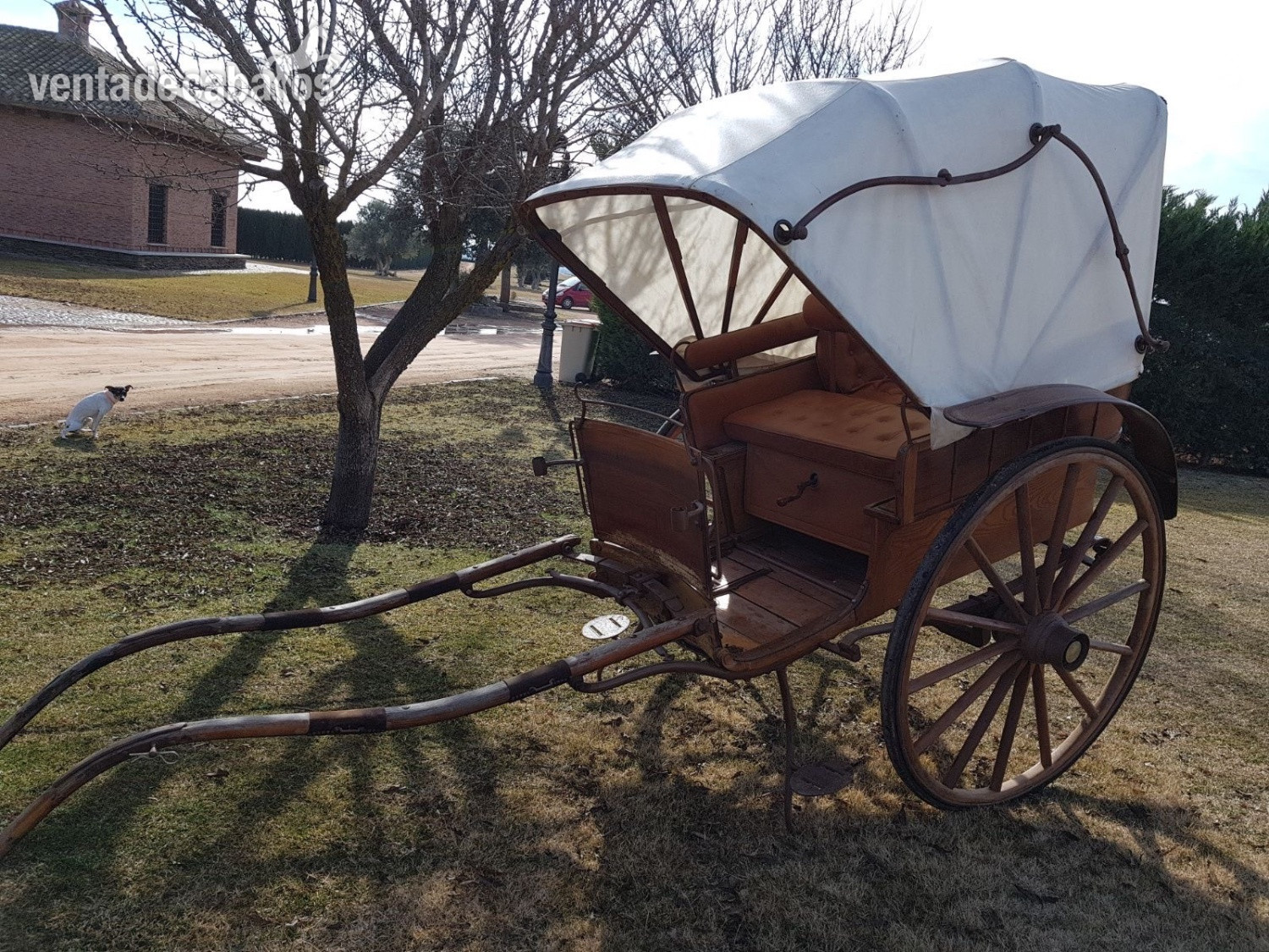  Coche de caballo