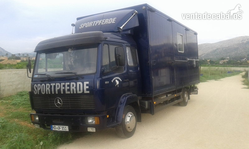 camion 817 D para transportar caballos in 