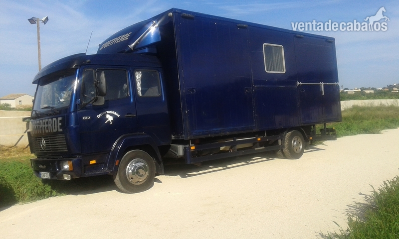 camion 817 D para transportar caballos