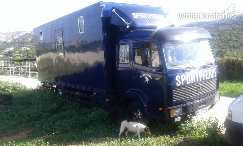  camion 817 D para transportar caballos