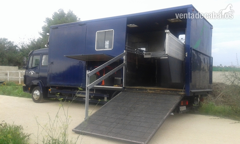 camion 817 D para transportar caballos 